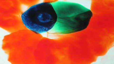 Fluid Motion 03 - HD Stock Footage 76546