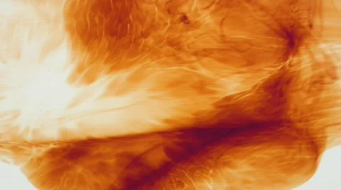 Fluid Motion 17 - HD Stock-Footage 76589