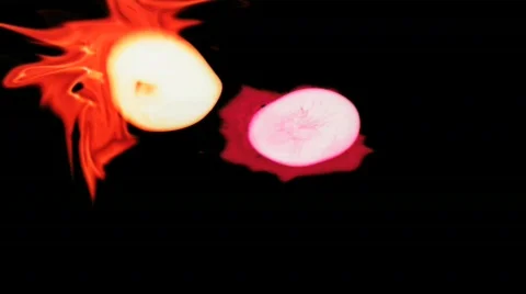 Fluid Motion 30 - HD Stock Footage