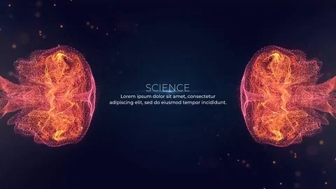 Fluid Motion Stock After Effects