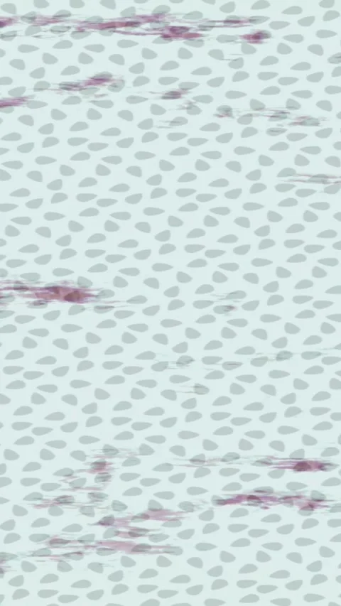 Fluid Motion Graphics Smooth Loop Stock Footage 328678724