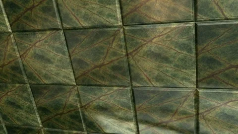 Fluid Motion Over Rainforest Green Marble Tiles with Exotic Natural Veins Stock Footage 342592719