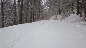 Fluid motion over winter forest road during snowfall Stock Footage 85716076