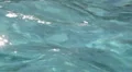 Fluid motion - water in cyan-turquoise color with sunlight reflection - 1 HD Footage