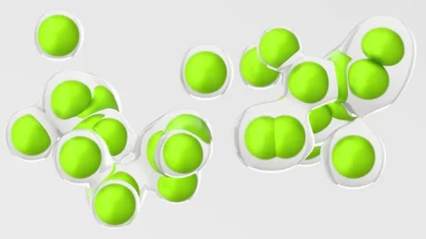 Fluid Organic Shapes - White Background Loop Animation Video stock 305567192