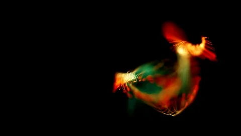 Fluid particles spreading or explosion Stock Footage 124578906