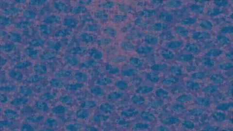 Fluid Soft Energy Clean Style Stock Footage 328669100