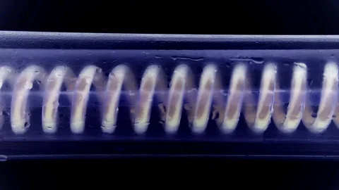 Fluid spiraling horizontally from left to right. Scientific laboratory condenser Video stock 123831470
