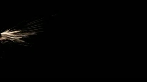 Fluid Squirt Sideways Close (3-for-1) 02 Stock-Footage 11429649