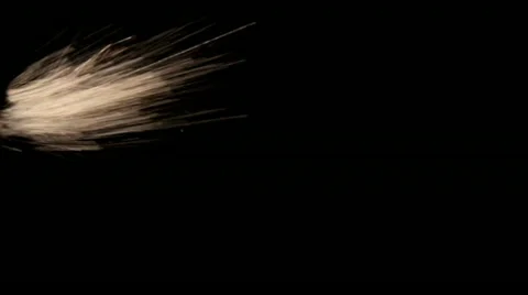 Fluid Squirt Sideways Close (3-for-1) 05 Stock Footage 11429653