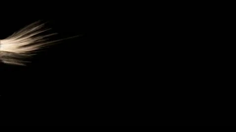 Fluid Squirt Sideways Close (3-for-1) 04 Stock-Footage 11429658