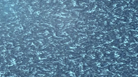 Fluid Texture Motion Background Vídeo Stock 339127123