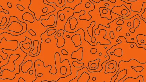 Fluid Topographic Line Animation  Seamless Abstract Loop in Teal and Orange 스톡 동영상 311993314