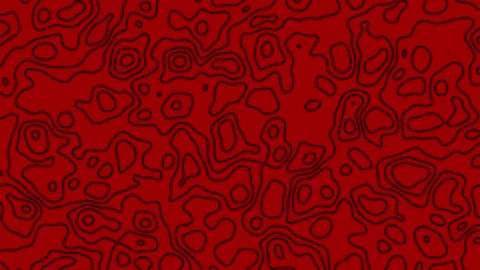Fluid Topographic Line Animation  Seamless Abstract Loop in Black and Red Vídeos de archivo 314717470