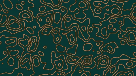 Fluid Topographic Line Animation  Seamless Abstract Loop in Teal and Orange Vídeo Stock 314717555