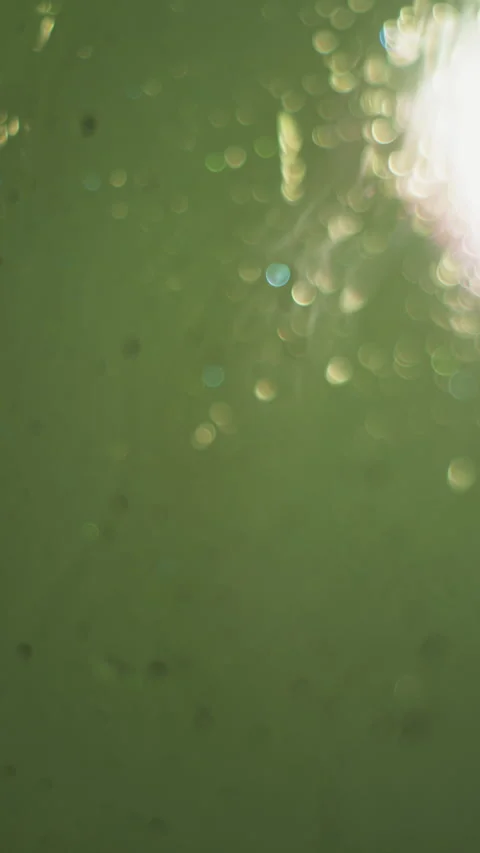 Fluid Whispers: Abstract Liquid Secrets Video stock 250818876