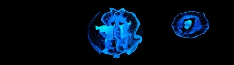 Fluid4Big platch 3840wide Stock Footage 122258489