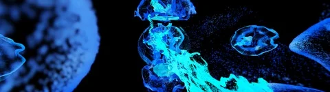 Fluid8BigLong platch 3840wide 動画素材 122259372