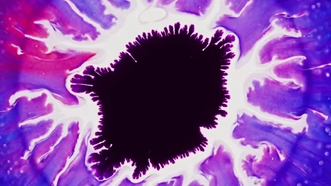 Fluidic Harmony. Ever-changing interplay of purple, white and black pigments in Stock Footage 255956136