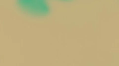 Fluids 库存影片 8566147