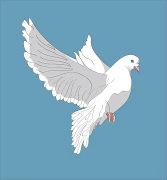 Fluing pigeon Stock Illustration