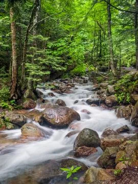 Flume Brook Stock Photos