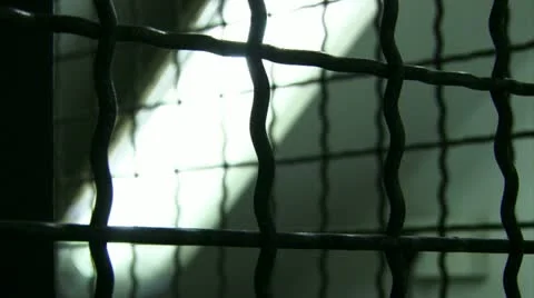 Fluorecent focus rack Stock Footage 20509639