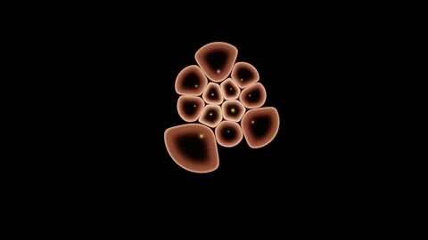 Fluorescence Channels Cycle Continuously Through The Colony Stock Footage 344512331