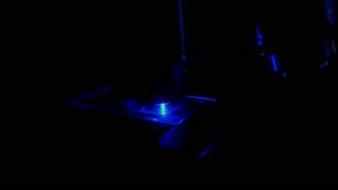 Fluorescence microscopy blue Video stock 219694302