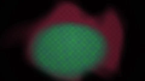 Fluorescence microscopy cell biology image. Stock Footage 334334786