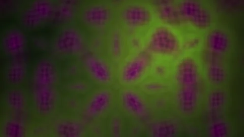 Fluorescence Microscopy Cell Biology Image. Stock Footage 335353469