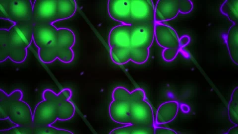 Fluorescence Microscopy Cells Dividing Biology. Stock Footage 340015632