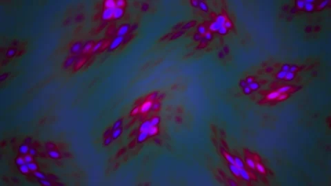Fluorescence Microscopy Cells in Laboratory. Stock Footage 335108453