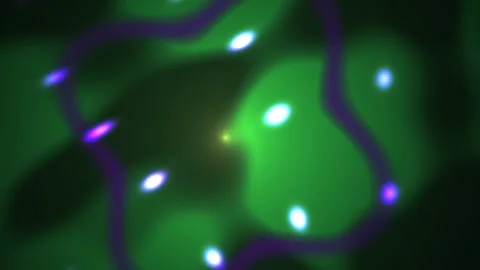 Fluorescence microscopy image of cell structures with green and purple stai.. Stock Footage 336695027