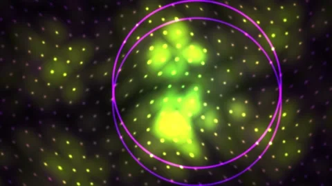 Fluorescence microscopy images of cells. Stock Footage 337459729