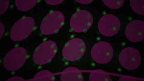Fluorescence In Situ Hybridization Analysis of Human Cell Nuclei Under Micr.. Stock Footage 341806411