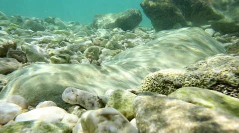 Fluorescent bottom of the sea Video stock 69068439