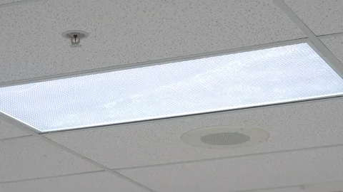 Fluorescent ceiling light next to drop ceiling tiles Video stock 89501387