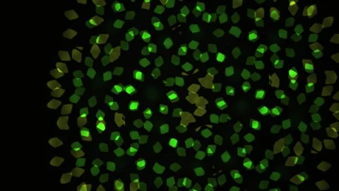 Fluorescent Cells Under Microscope Closeup. Stock Footage 334521544