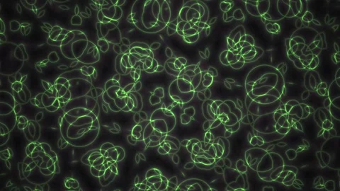 Fluorescent Cells Under Microscope Closeup. Stock Footage 334667105