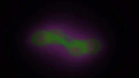 Fluorescent Cells Under Microscope Closeup. Stock Footage 334687113