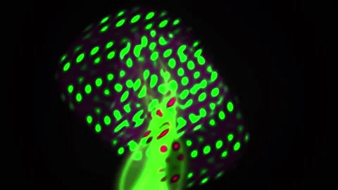 Fluorescent Cells Under Microscope Closeup. Stock Footage 334872326