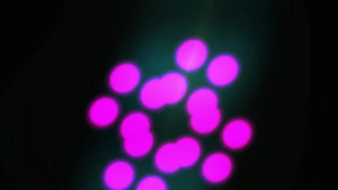 Fluorescent Cells Under Microscope Closeup. 스톡 동영상 337505154