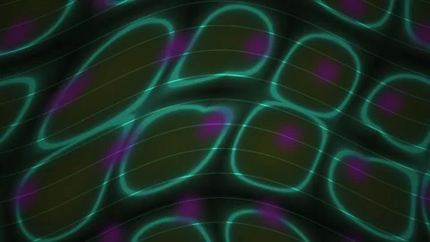 Fluorescent Cells Under Microscope Closeup. Stock Footage 340015650