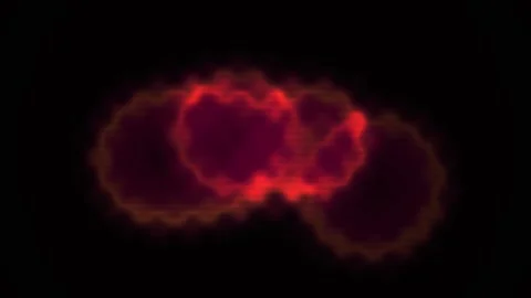 Fluorescent Cells Under Microscope. Stock Footage 335512484
