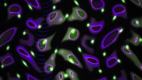Fluorescent Cells Under Microscope. Stock Footage 335949624