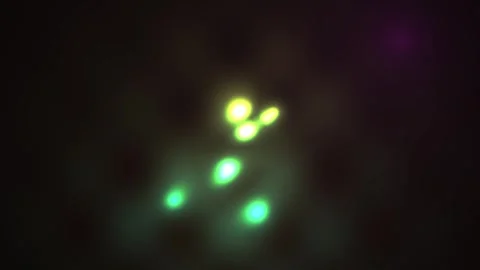 Fluorescent Cells Under Microscope. 스톡 동영상 336228798