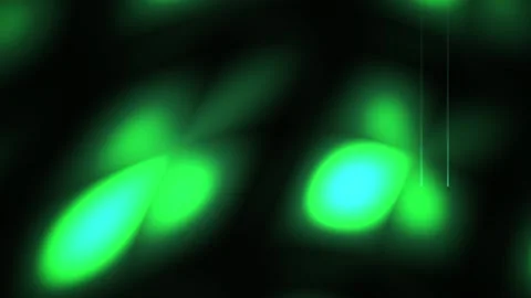 Fluorescent Cells Under Microscope. 스톡 동영상 337459616