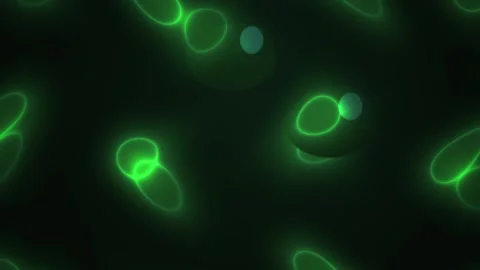 Fluorescent Cells Under Microscope. 스톡 동영상 337459636