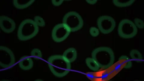 Fluorescent Cells Under Microscope with Wavy Blue Line. 스톡 동영상 337459650